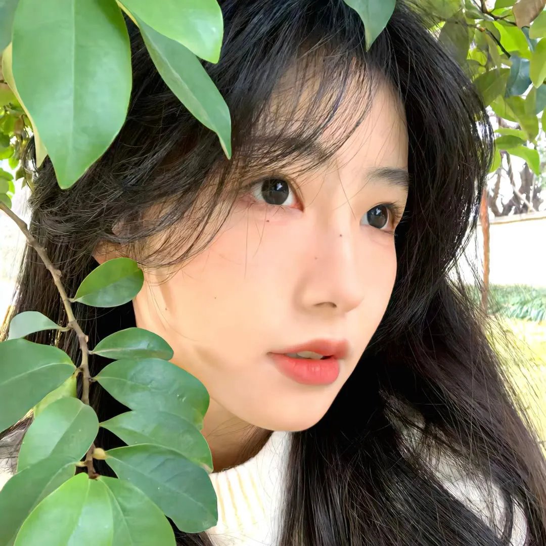 彩岛人生